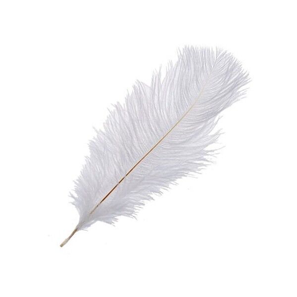 Strudsefjer hvid 30-35cm