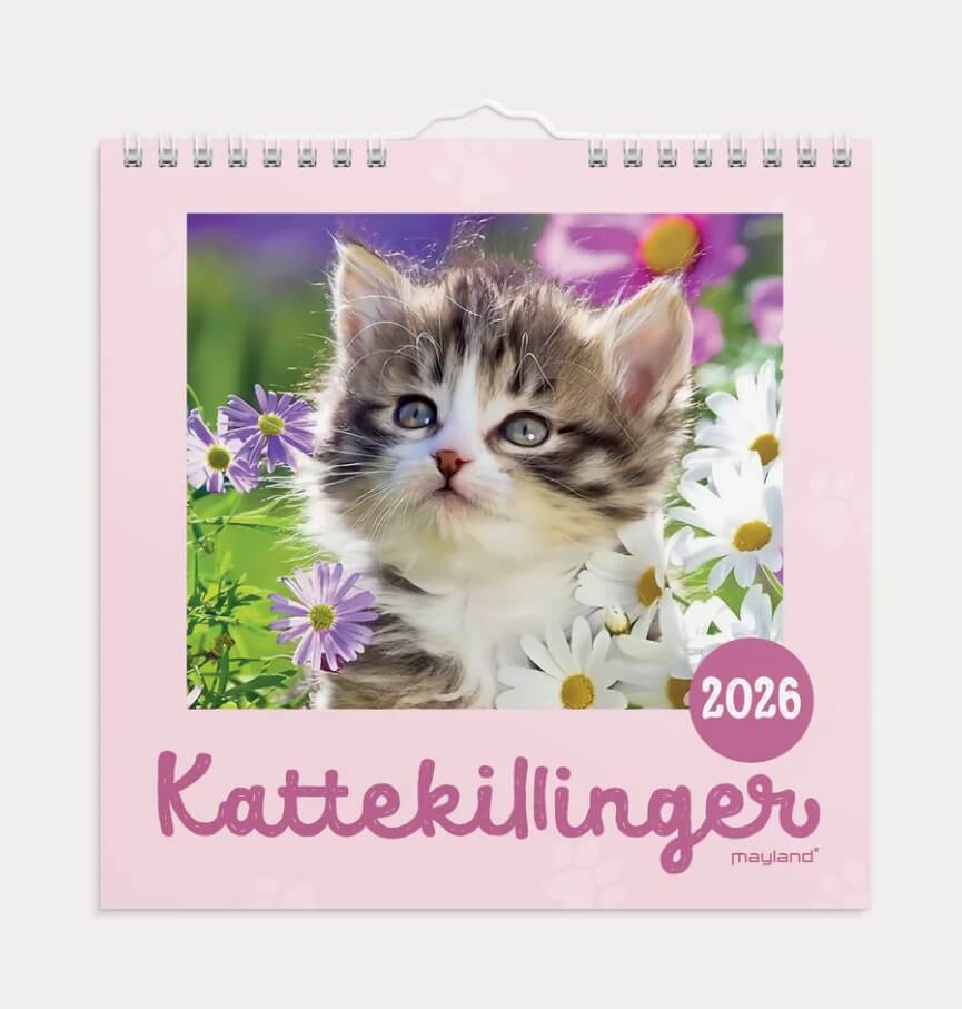 Vægkalender Mini Kattekillinger 2026 fra Mayland med søde kattekillinger og spiralbinding.